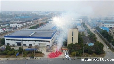 乘“巳”而上，再启华章，伟德BETVlCTOR官网今日正式开工！